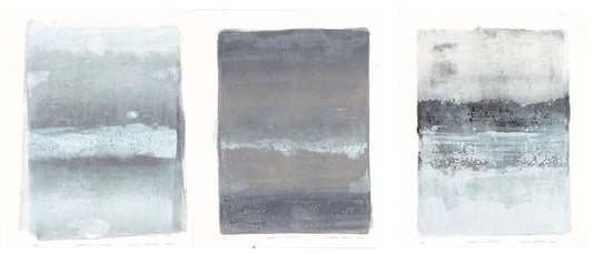 Endemicos Original Fine Art Monoprint Triptych Collection by Carrie Bergey displayed in a modern gallery with minimalist bench seating.
