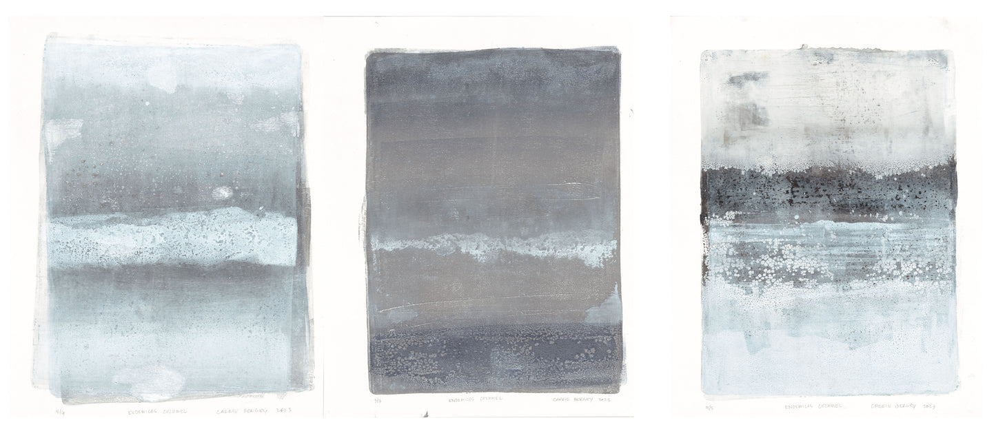 Full view of Endemicos Original Fine Art Monoprint Triptych Collection by Carrie Bergey, blending abstract forms and natural themes.