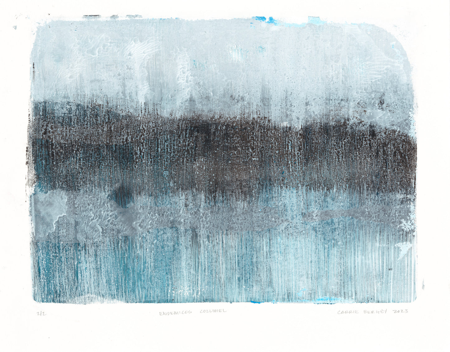 Endemicos-02 Original Fine Art Monoprint by Carrie Bergey showcases abstract nature-inspired textures in blue and gray, perfect for visual artwork lovers.
