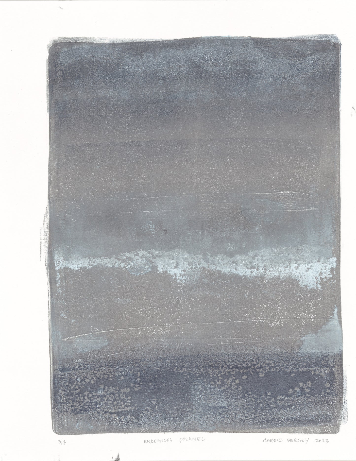 Close-up of Endemicos Cozumel monoprint by Carrie Bergey with rich gray tones and textured layers inspired by nature.