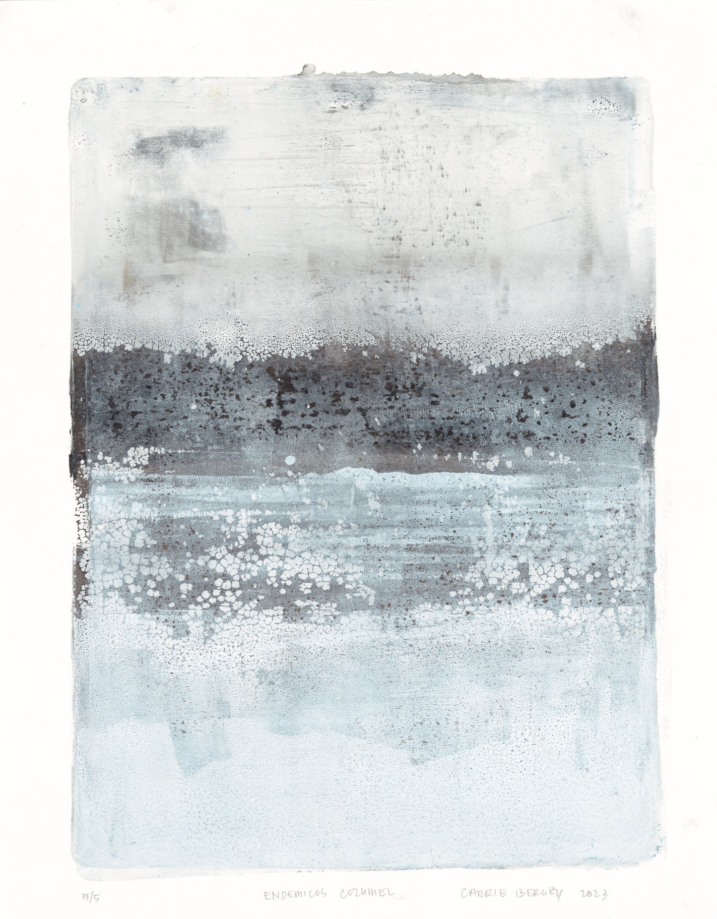 Endemicos Cozumel monoprint by Carrie Bergey with layered textures and soft gradients in white, gray, and blue hues.