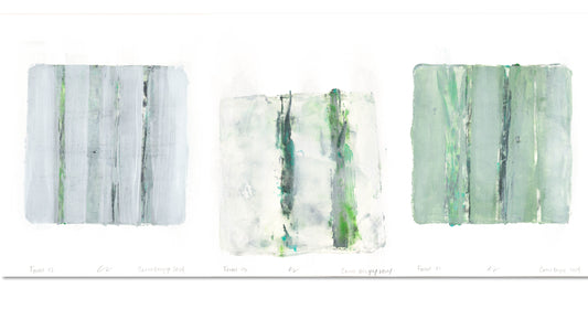 Forest Original Fine Art Monoprint Triptych Collection | Carrie Bergey