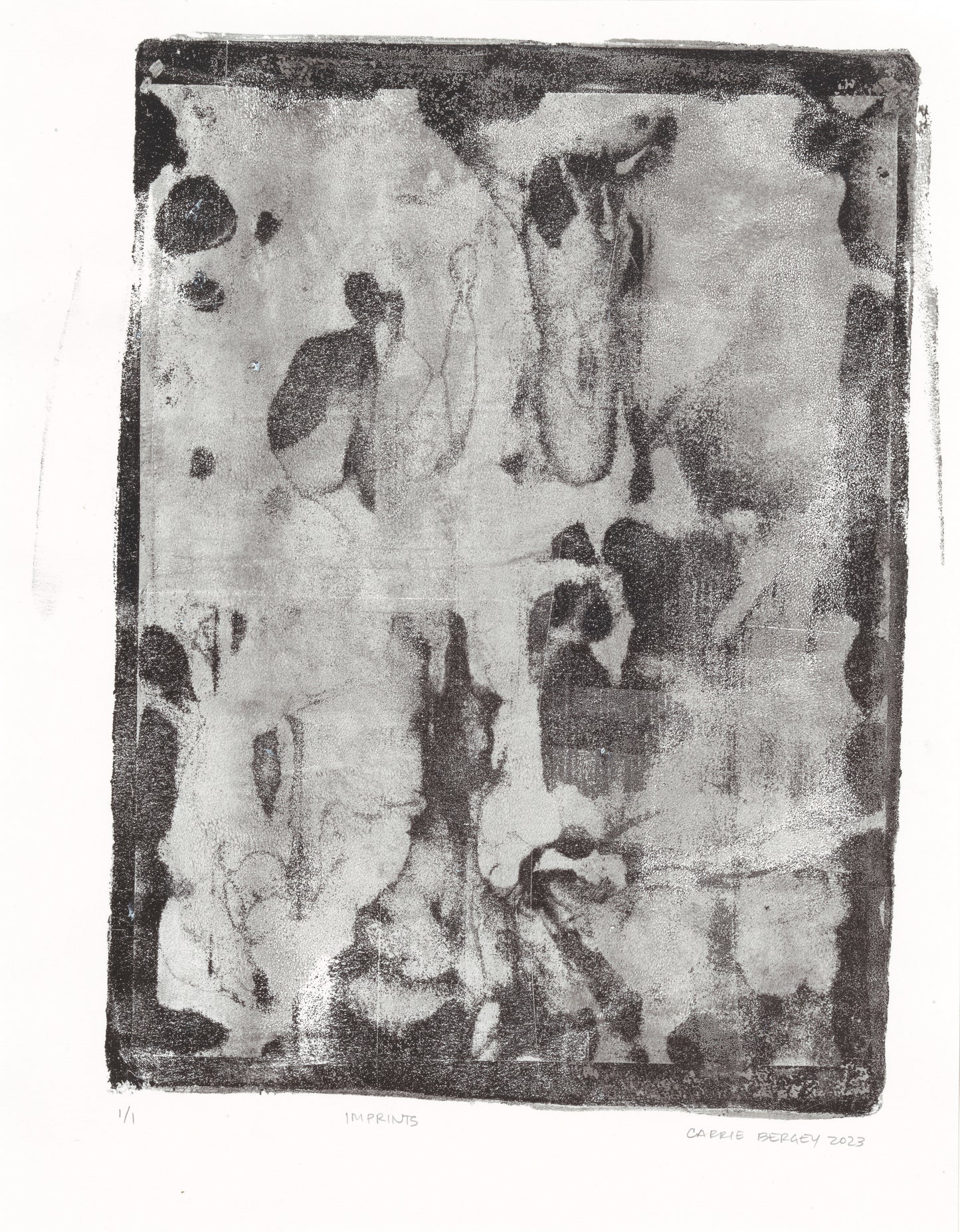 Imprints Original Fine Art Monoprint by Carrie Bergey displays a unique abstract composition with natural forms and monochrome contrasts.