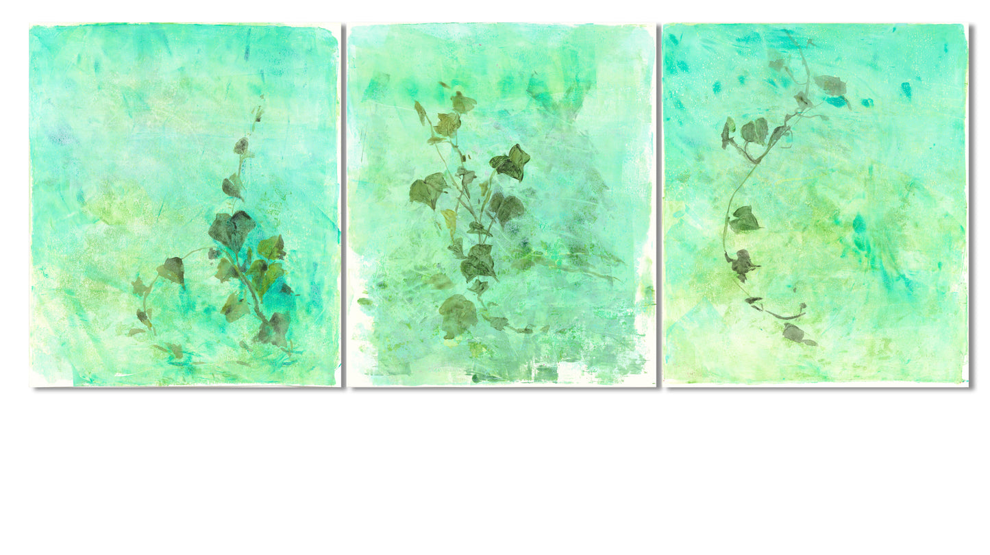 Ivy Art Reproduction Set - Monoprint Series featuring three fine art prints with green ivy vines on textured aqua backgrounds. Ideal for botanical wall decor.