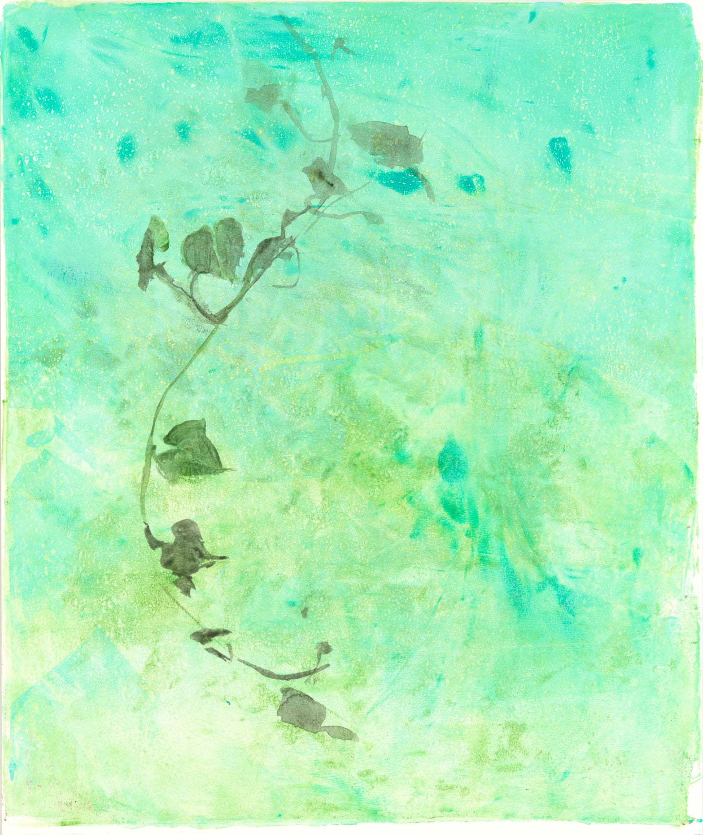 Single panel from Ivy Art Reproduction Set showing a delicate ivy vine curving upward on a soft green monoprint background. Botanical fine art for home decor.