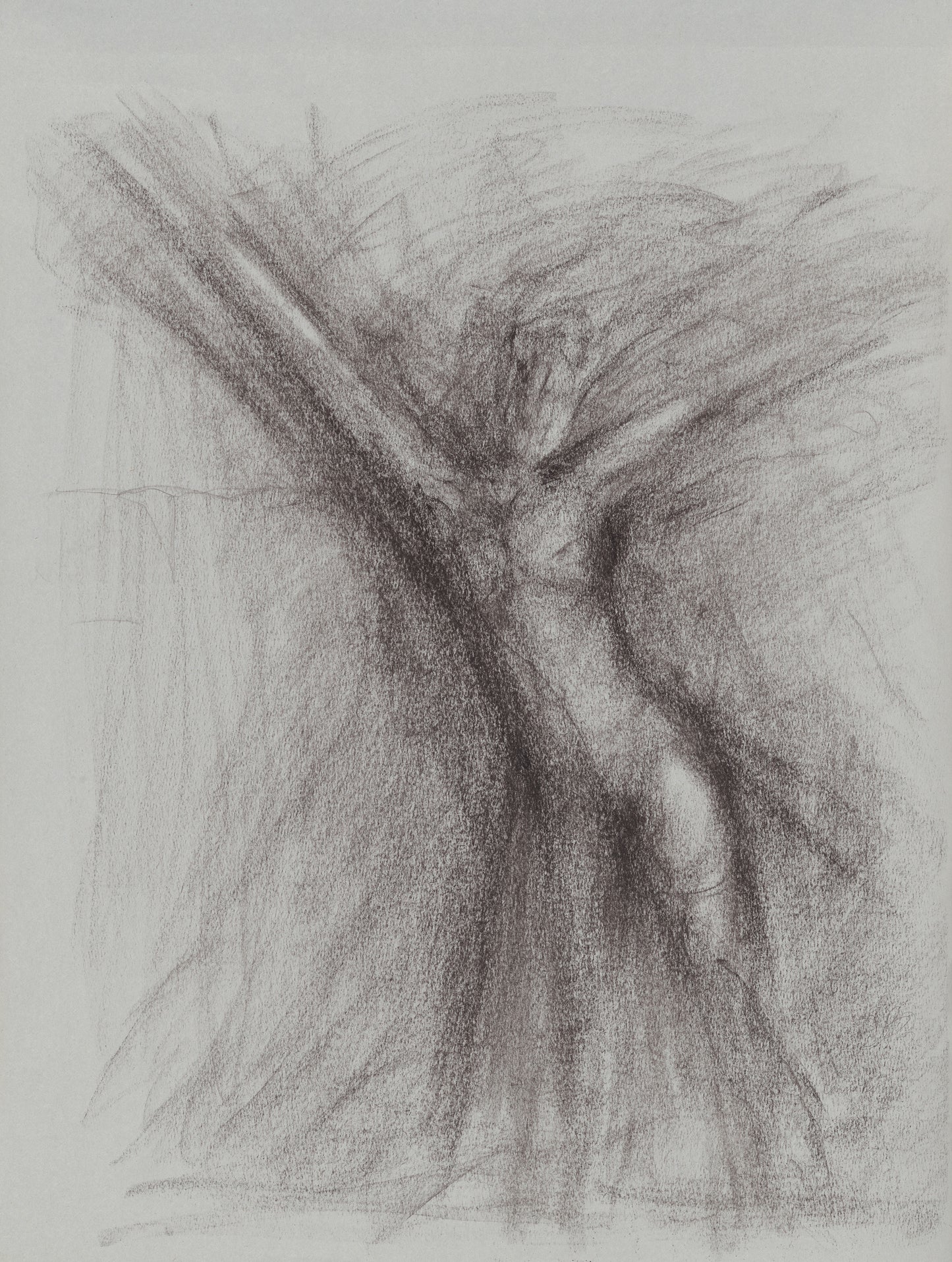 Carrie Bergey's Jump Original Fine Art Drawing captures the essence of movement and freedom with bold, gestural strokes on textured drawing paper.