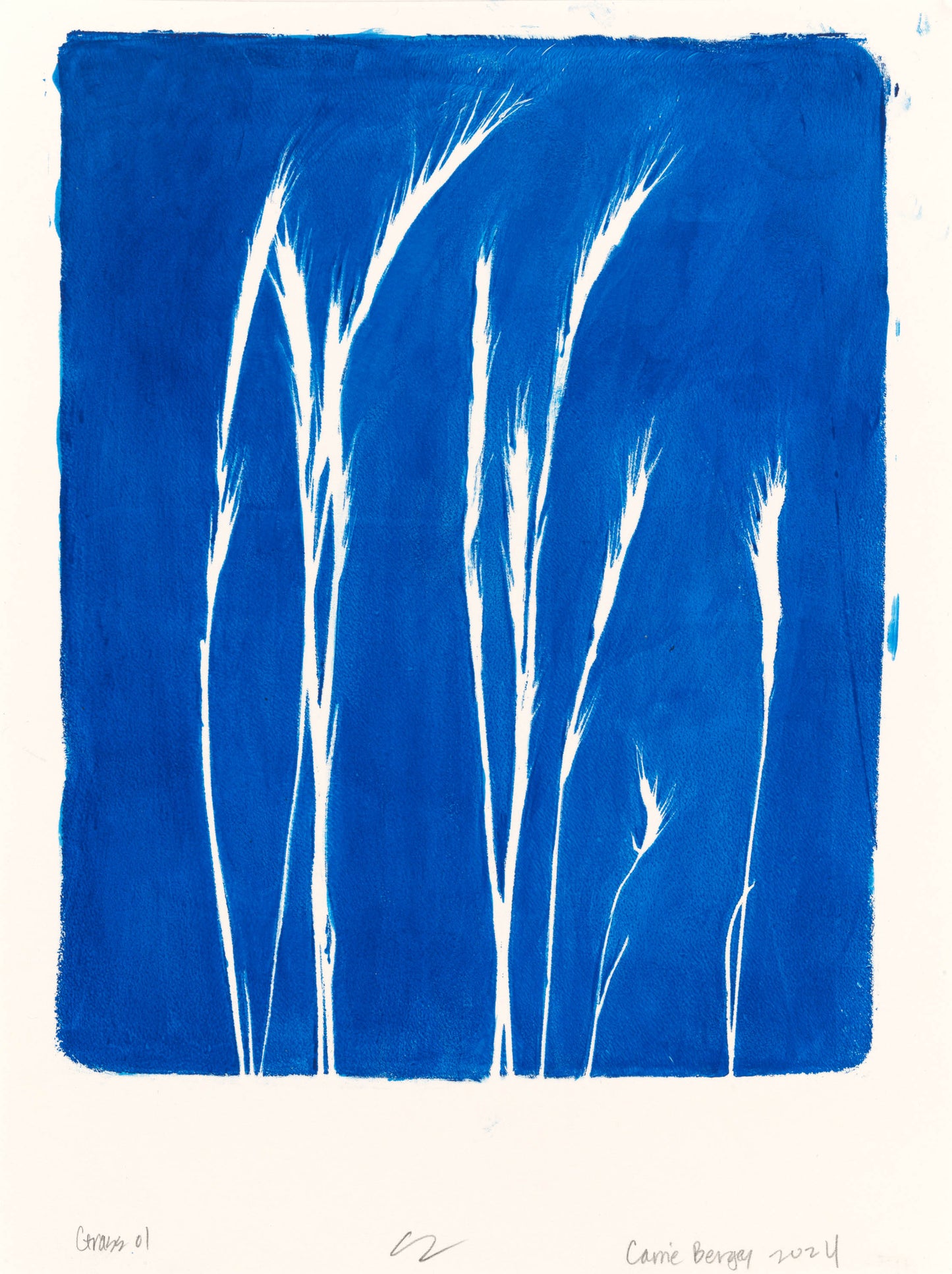 Lobos Grass 01-04 Original Fine Art Monoprint Quadriptych Collection | Carrie Bergey