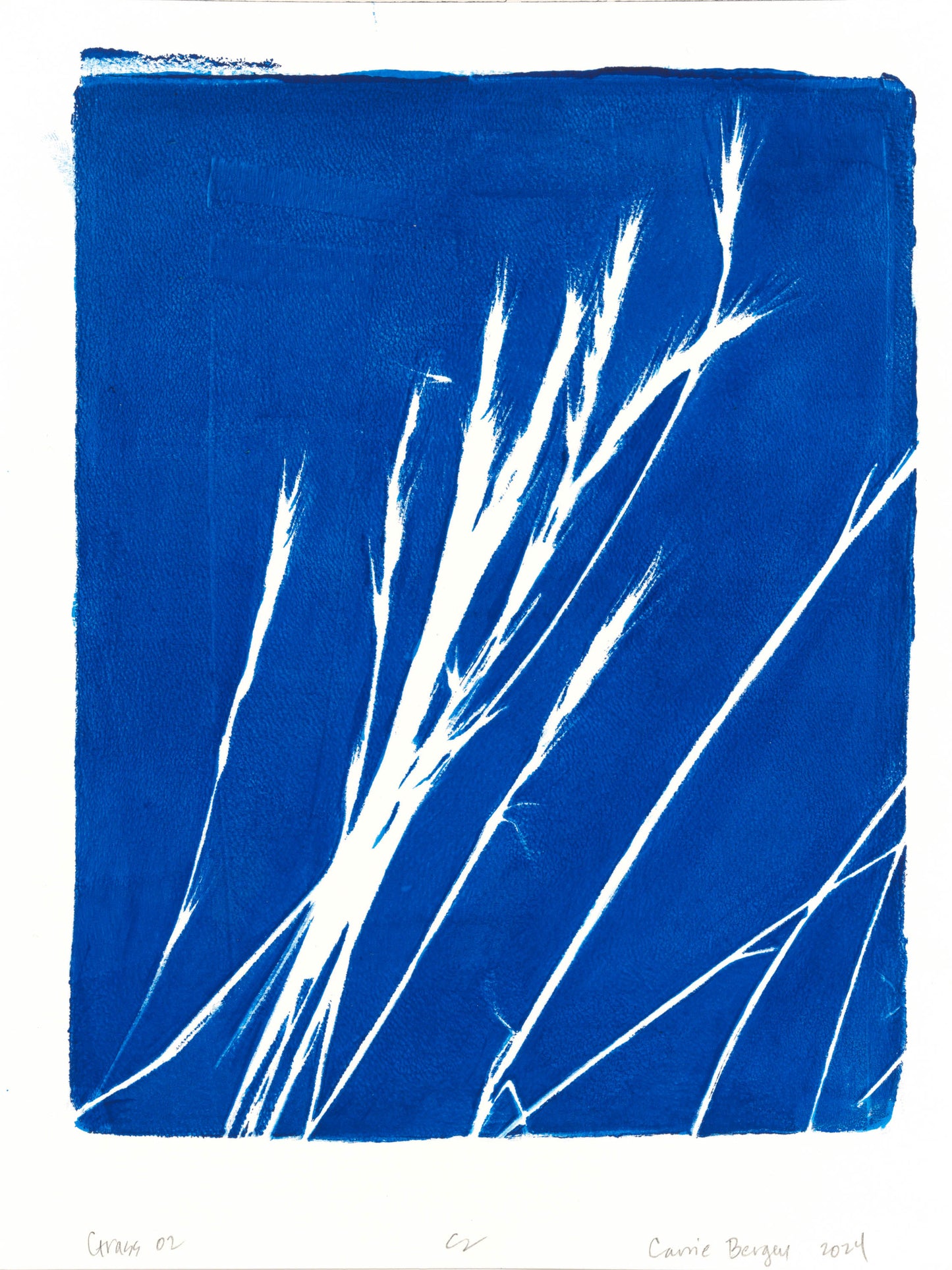 Lobos Grass 01-04 Original Fine Art Monoprint Quadriptych Collection | Carrie Bergey