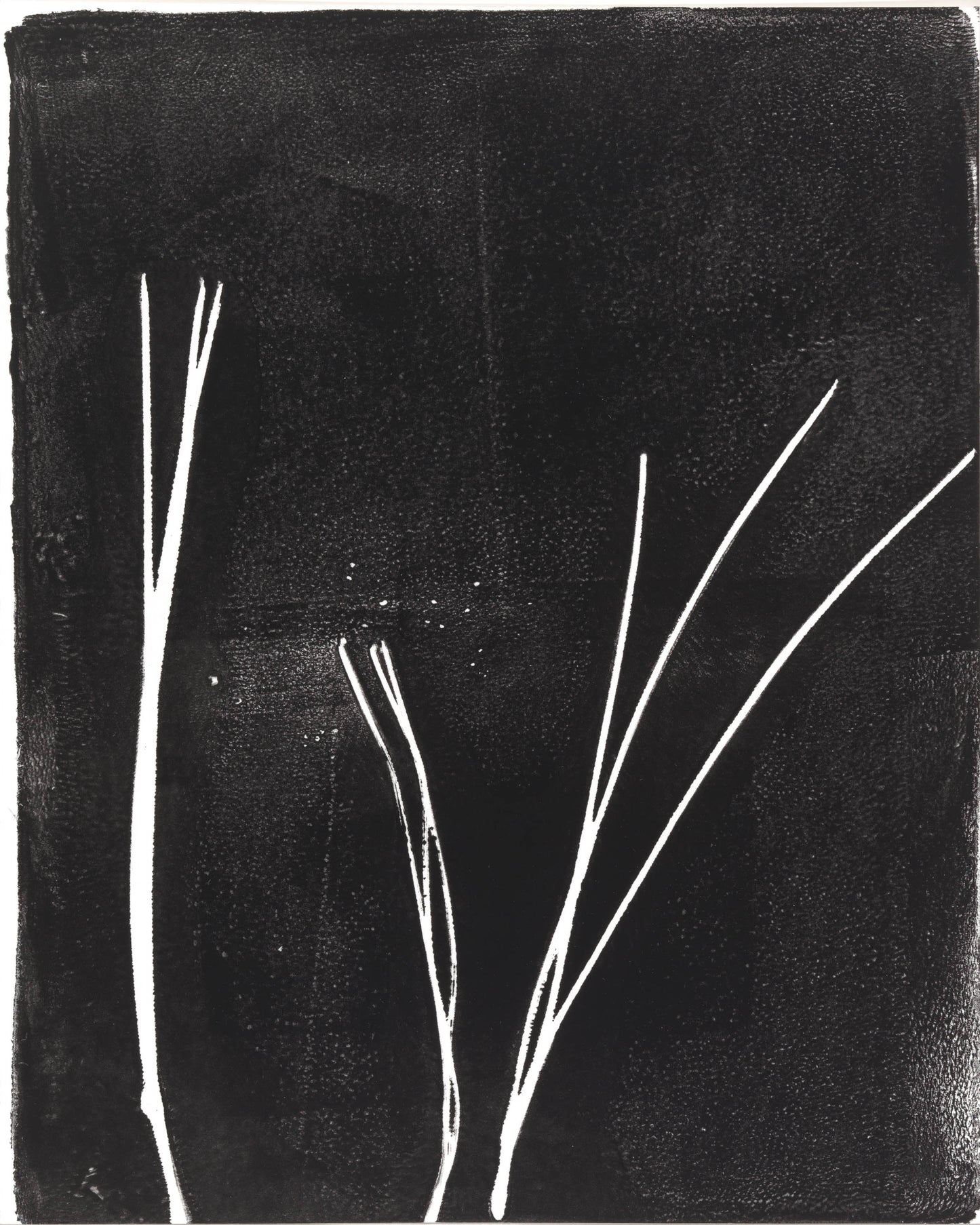 Sparse white pine needle lines on black in a minimalist panel from Pine Needles Octaptych Collection by Carrie Bergey.