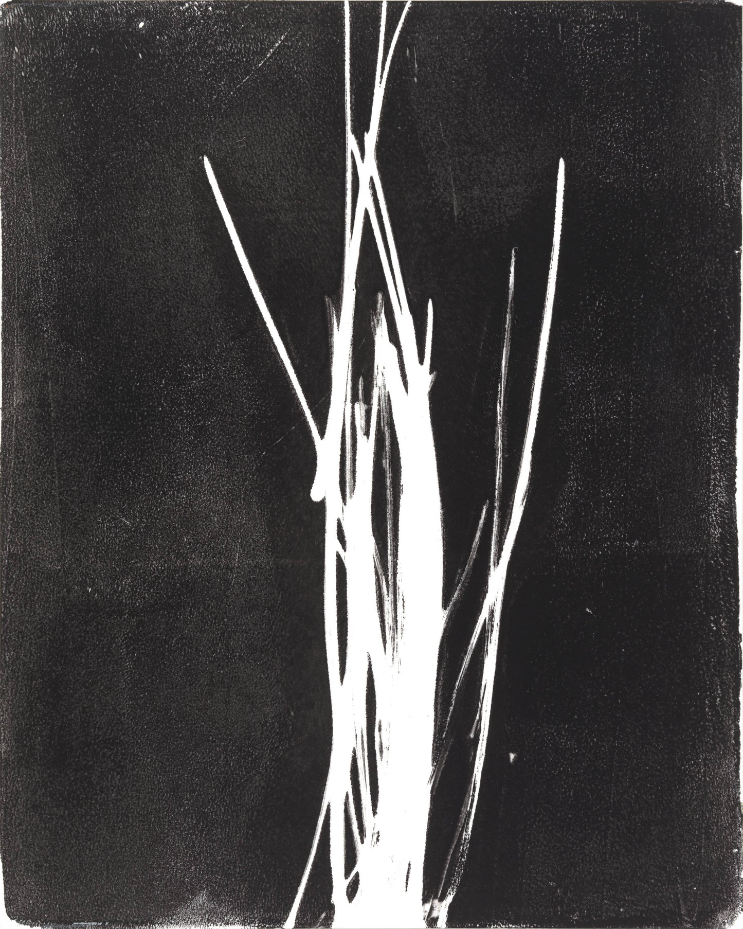 Central burst of white strokes on black in Pine Needles Monoprint by Carrie Bergey, evoking natural forest forms.