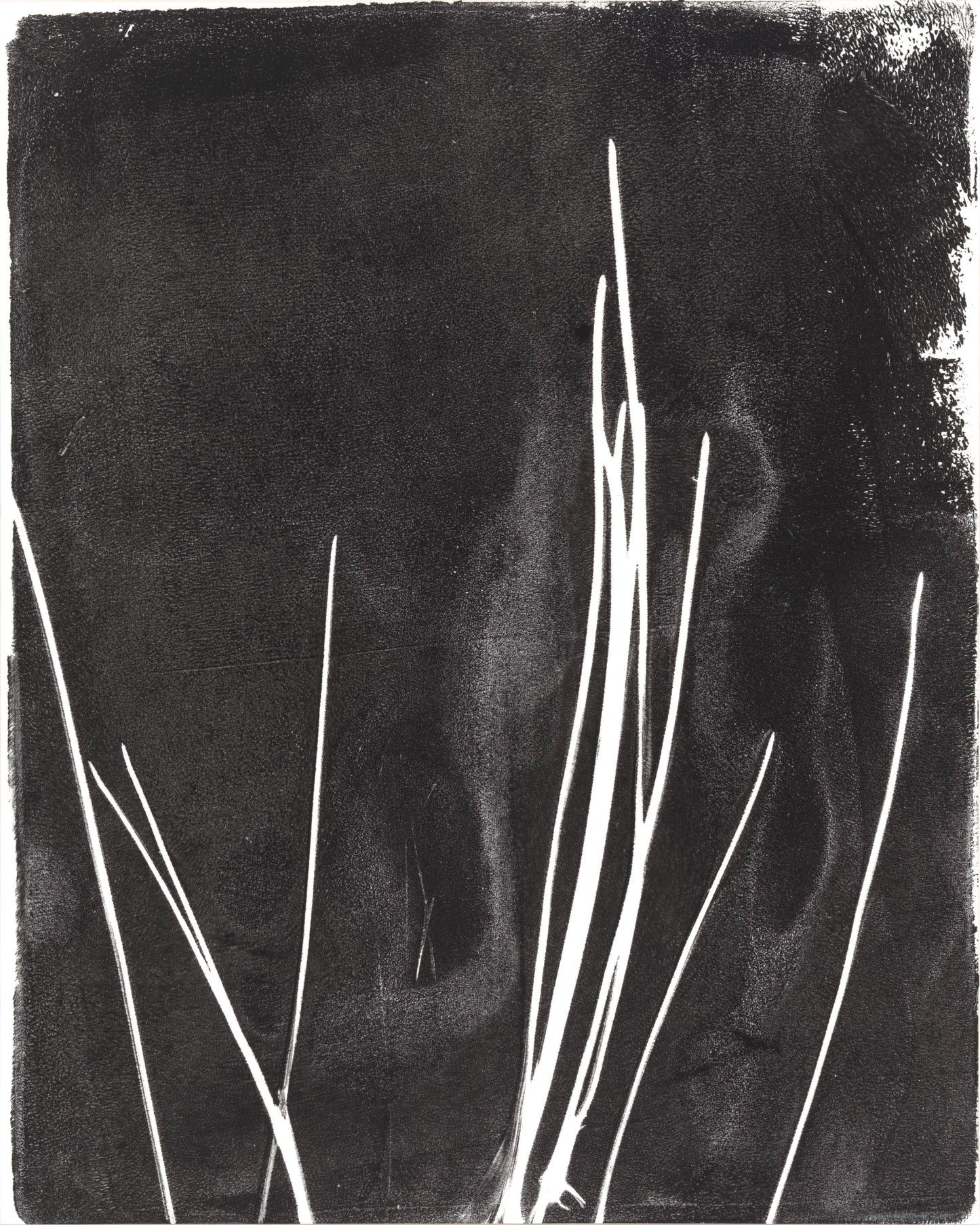 Minimalist pine needle lines in white on black background, part of Carrie Bergey's Pine Needles Monoprint Octaptych Collection.