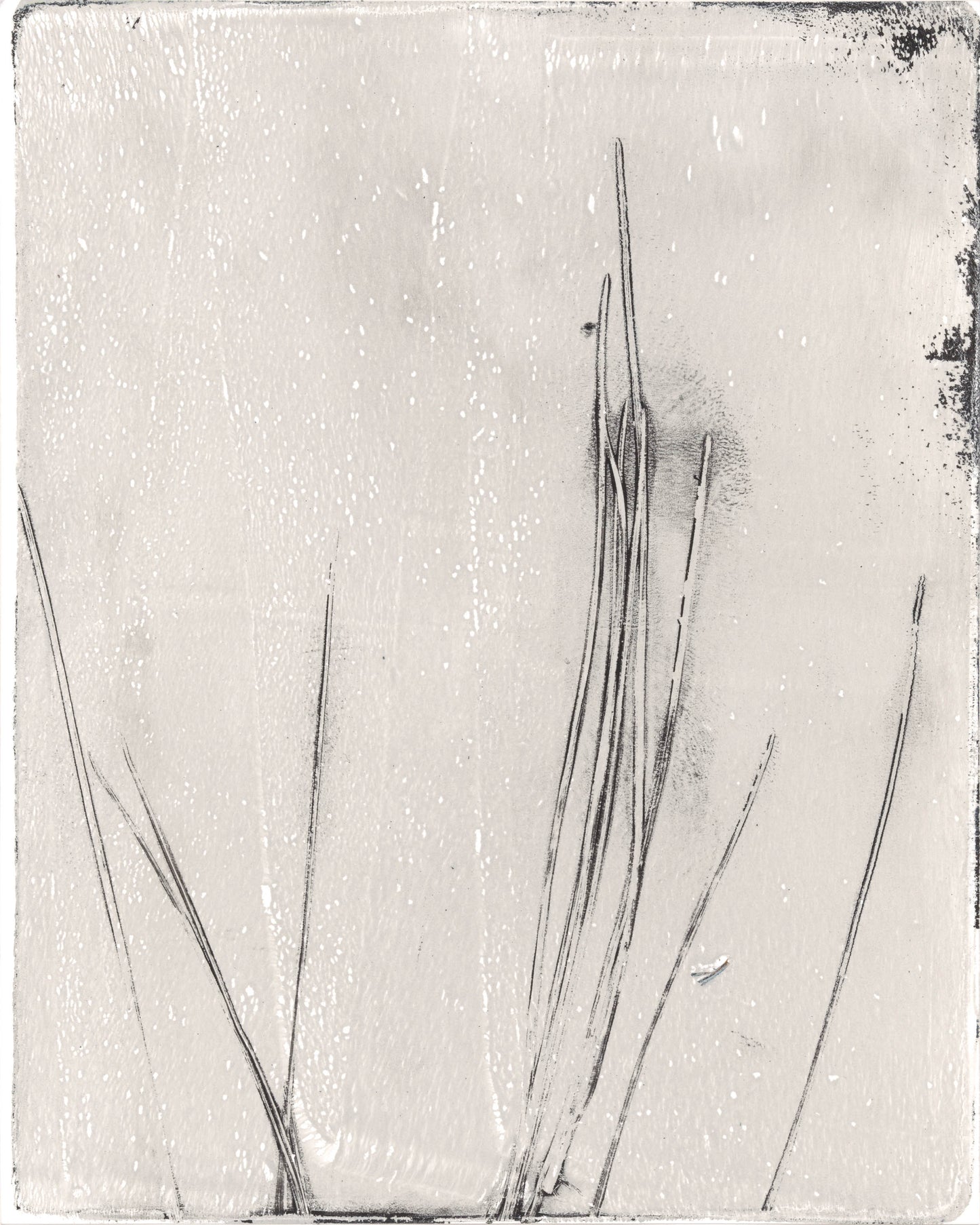 Close-up of right monoprint from Pine Needles Original Fine Art Monoprint Diptych Collection showcasing fine vertical pine needle lines.