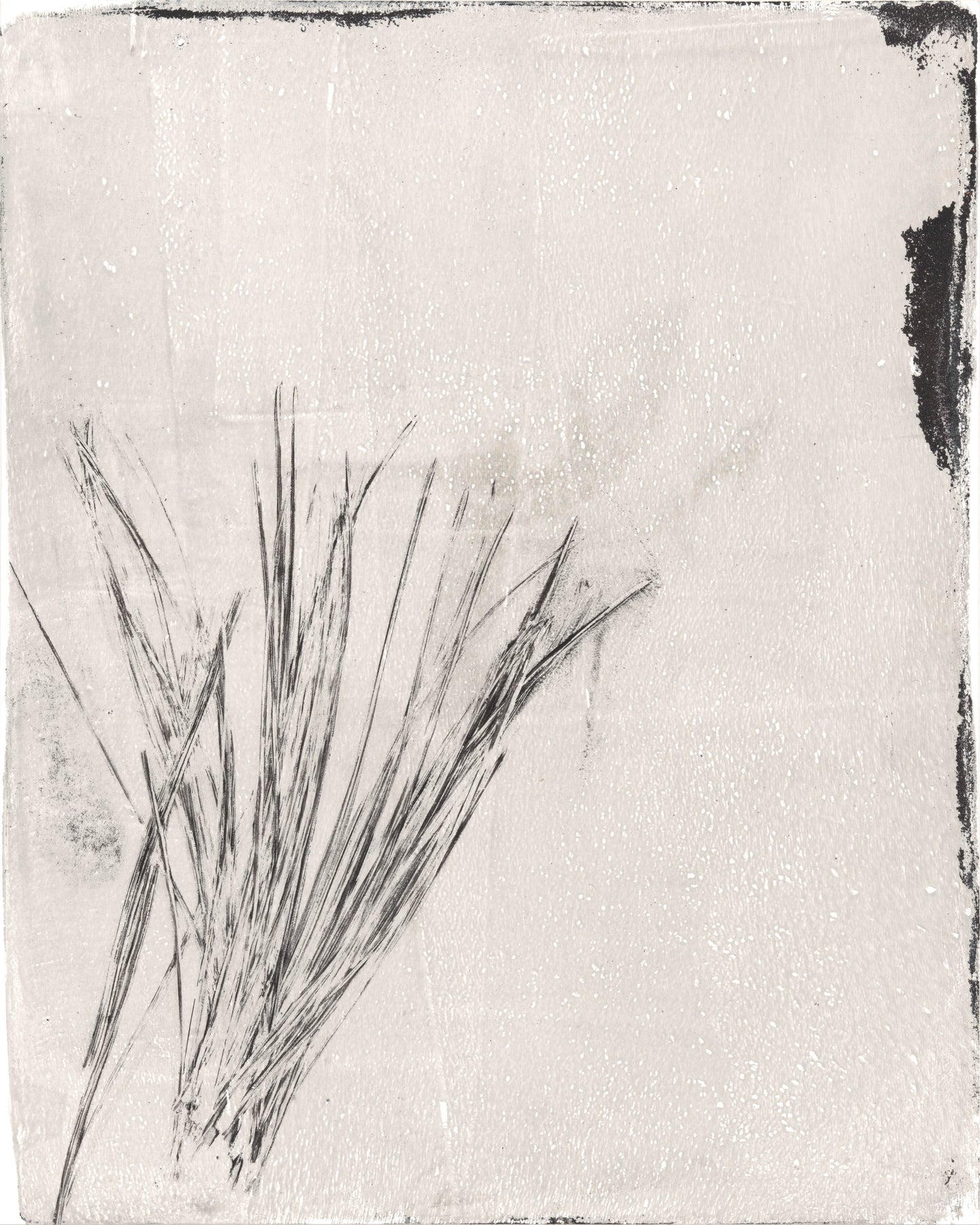 Close-up of left monoprint from Fine Art Monoprint Diptych - Carrie Bergey Art | Pine Needle Art highlighting natural pine needle detail.