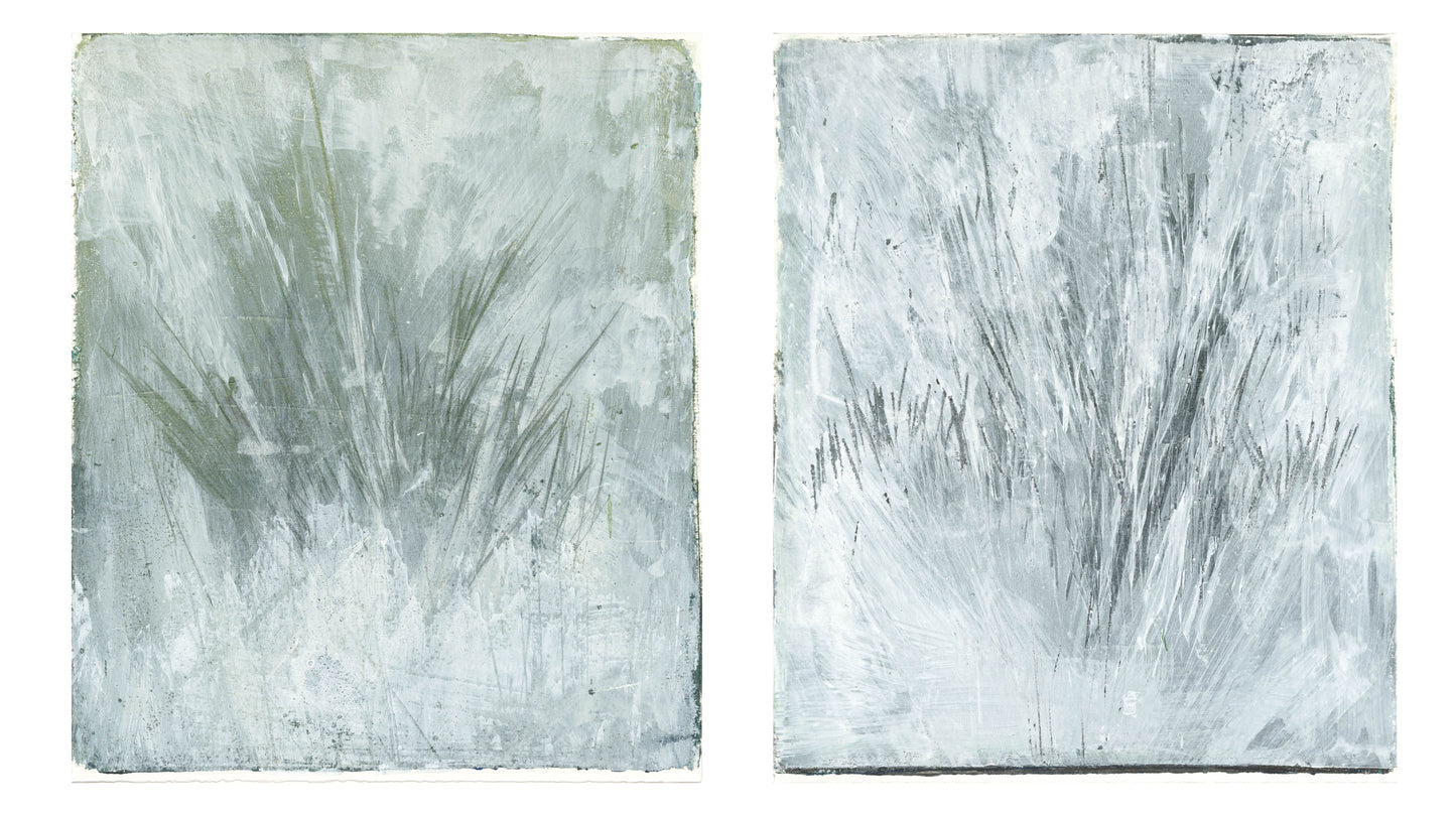 Seagrass 01-02 Original Fine Art Monoprint Diptych Collection by Carrie Bergey featuring abstract underwater grass textures in green and gray tones.