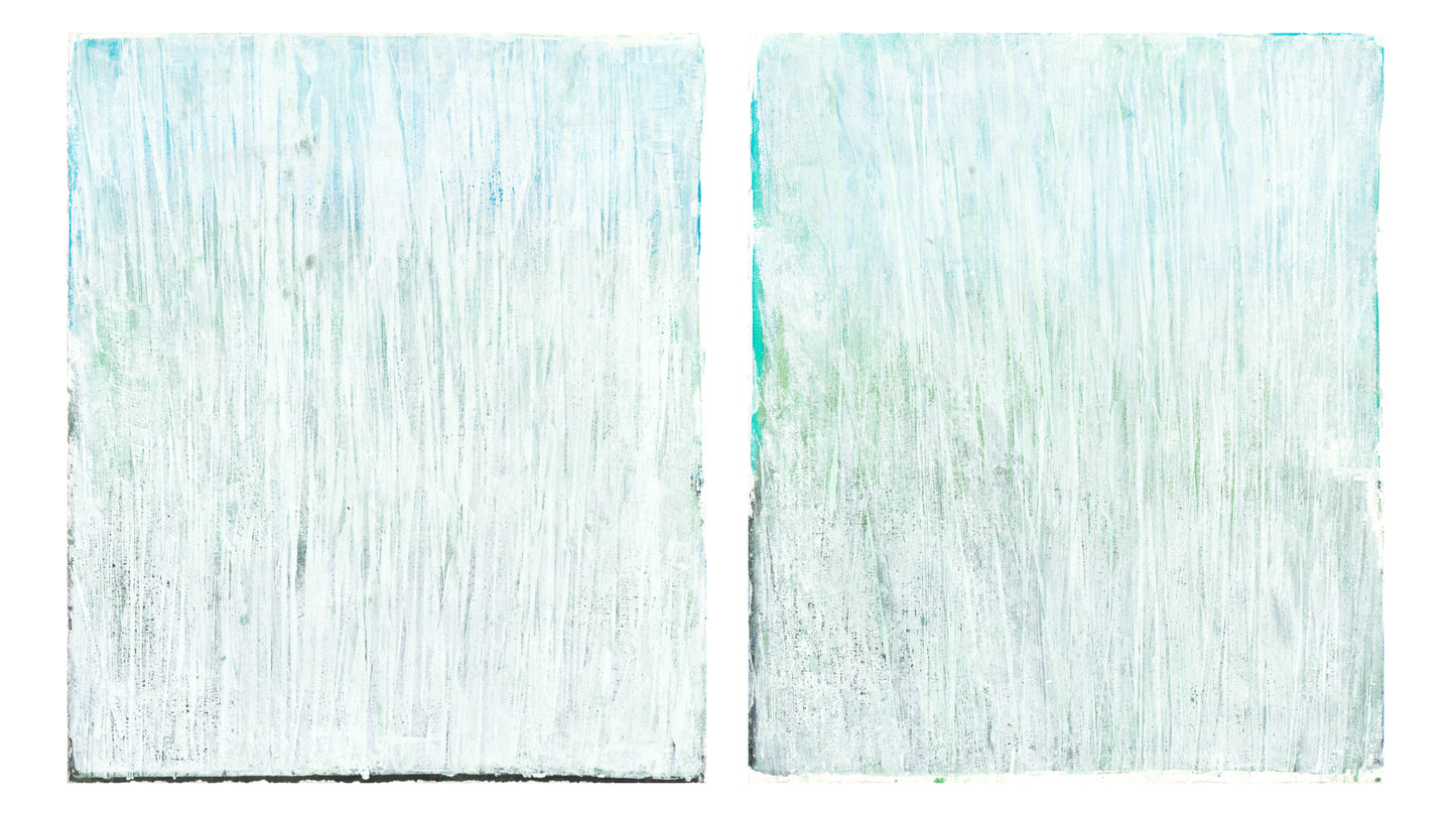 Seagrass 04-05 Original Fine Art Monoprint Diptych Collection | Carrie Bergey