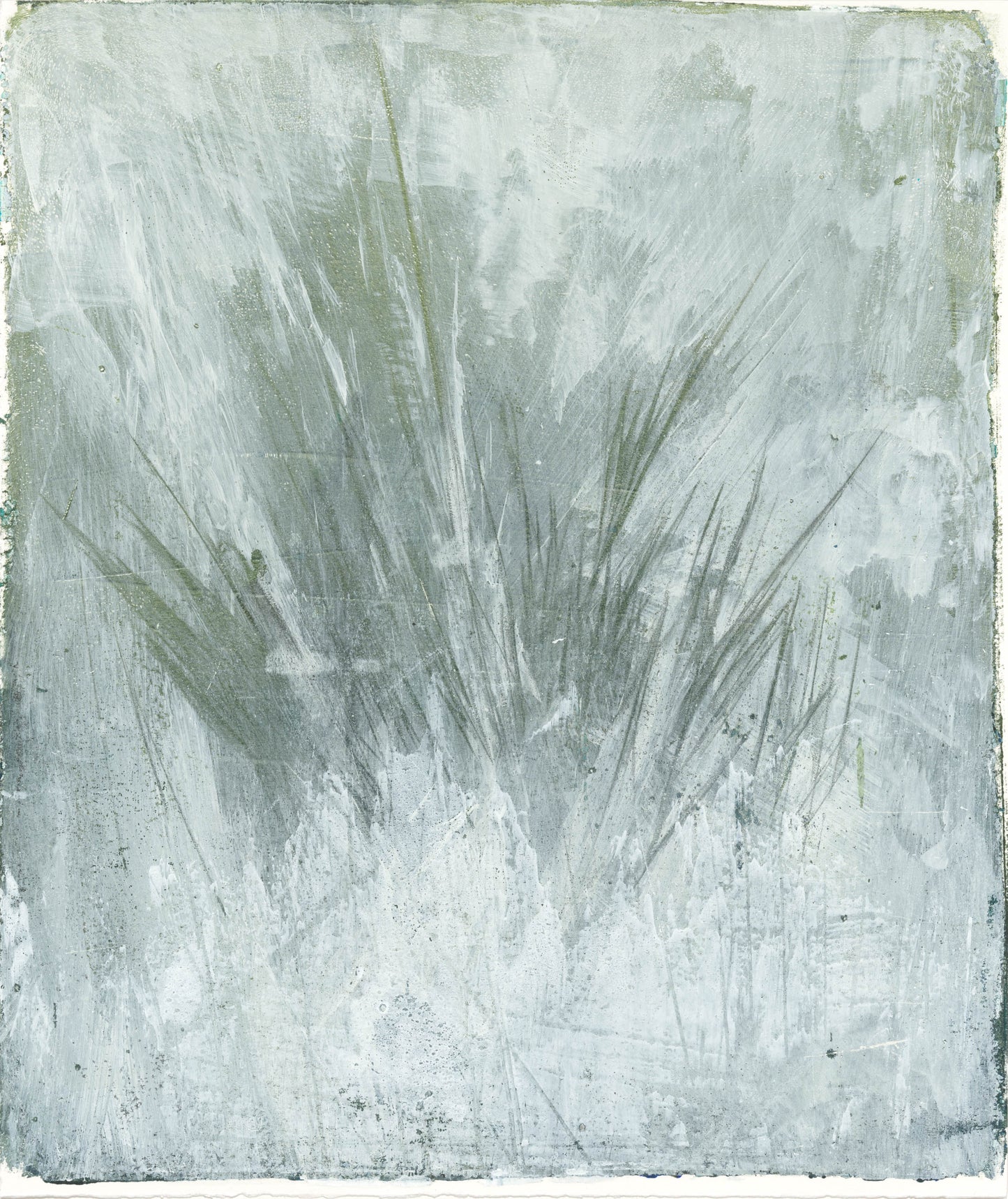 Seagrass 01 Original Fine Art Monoprint by Carrie Bergey showcasing abstract marine grass in soft green and white hues with textured brushwork.