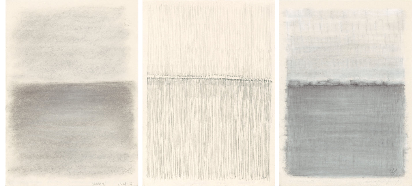 Vista 02-04-05 Original Fine Art Drawings Triptych Collection | Carrie Bergey