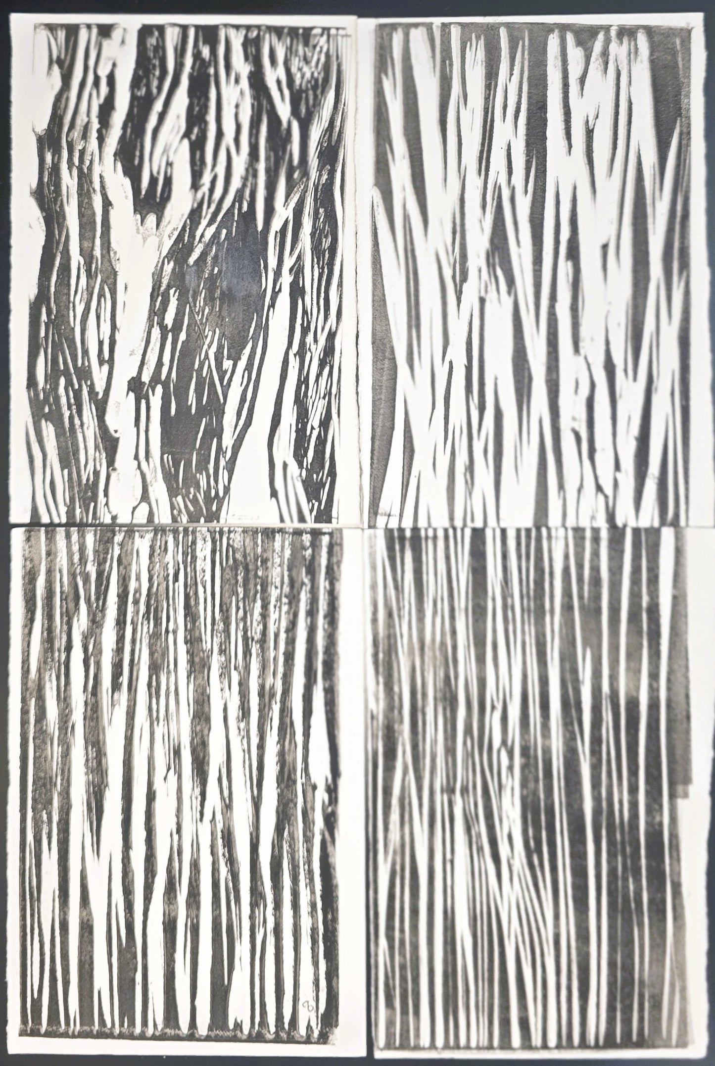 Full view of In the Weeds Original Fine Art Monoprint Quadriptych Collection by Carrie Bergey, featuring four abstract black and white prints.