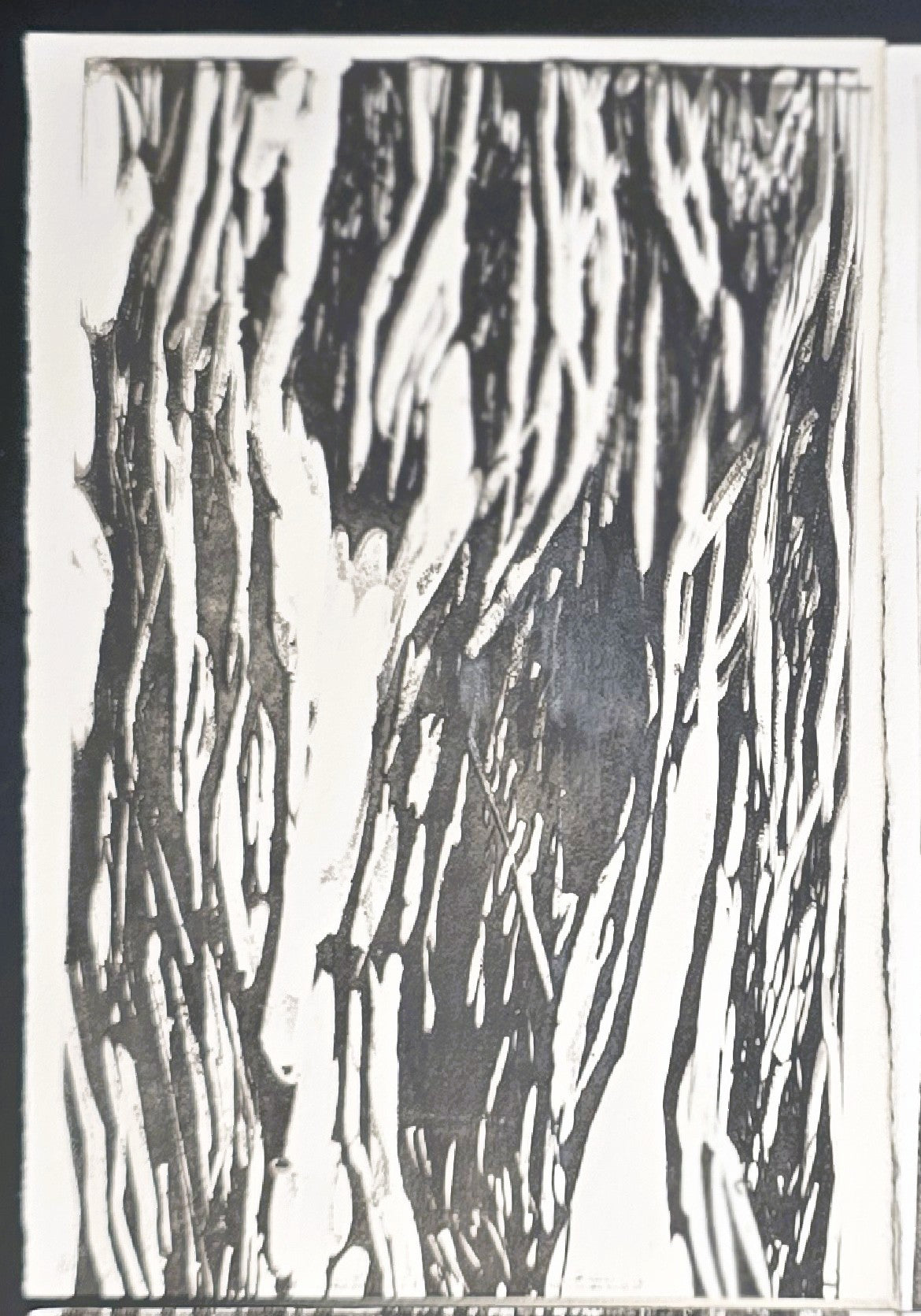Close-up of top left panel from In the Weeds Monoprint Quadriptych by Carrie Bergey, showcasing organic vertical black and white patterns.