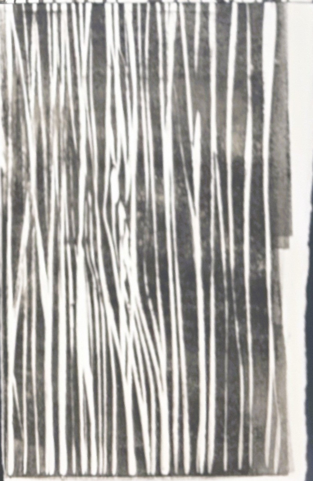 Close-up of bottom right panel from In the Weeds Monoprint Quadriptych by Carrie Bergey, showing fine vertical white lines over a dark textured background.