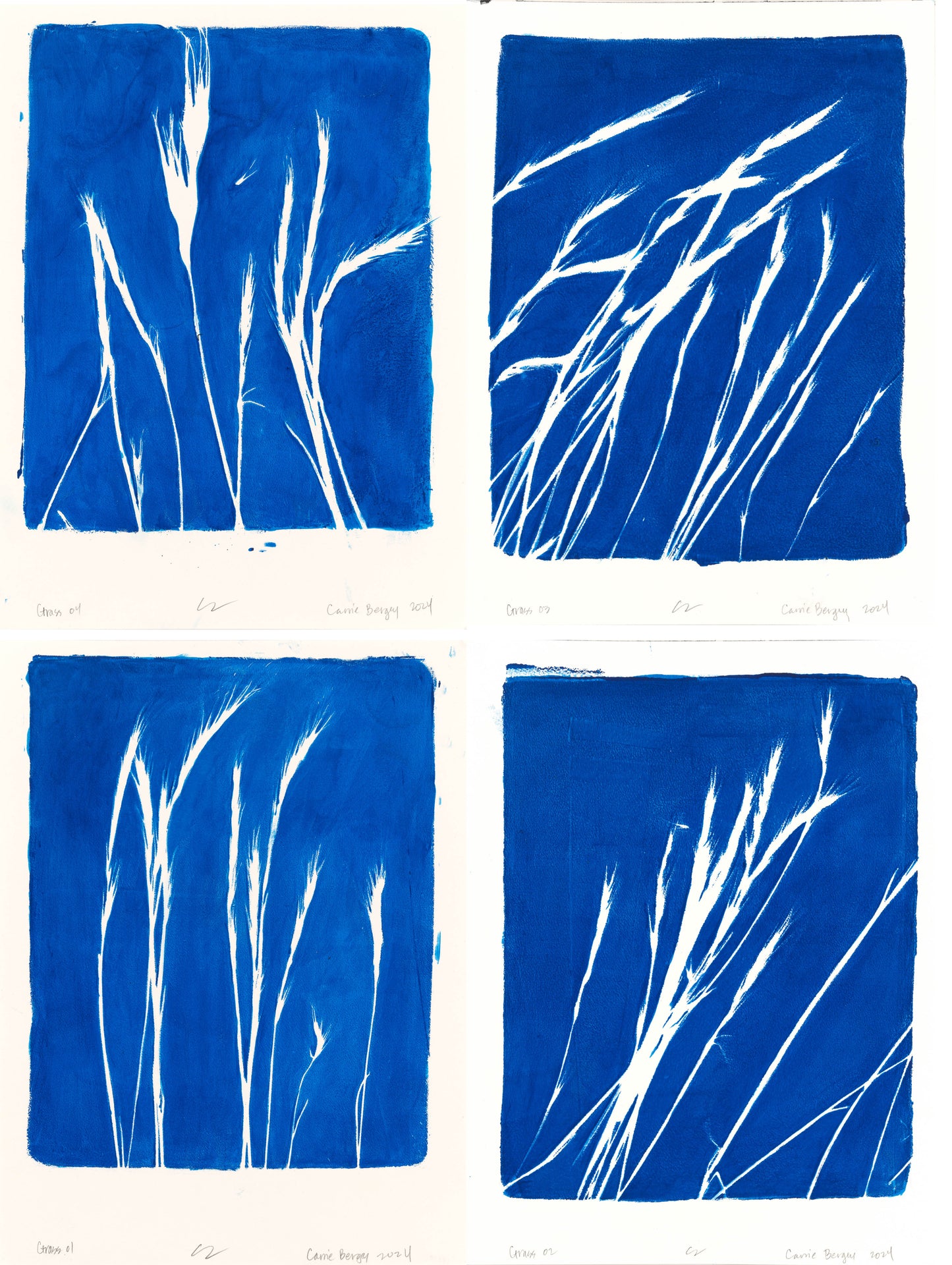Lobos Grass 01-04 Original Fine Art Monoprint Quadriptych Collection | Carrie Bergey