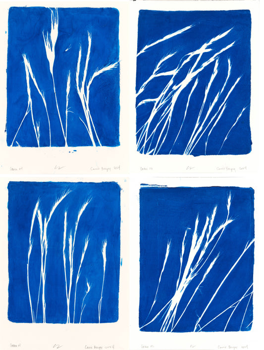 Lobos Grass 01-04 Original Fine Art Monoprint Quadriptych Collection | Carrie Bergey