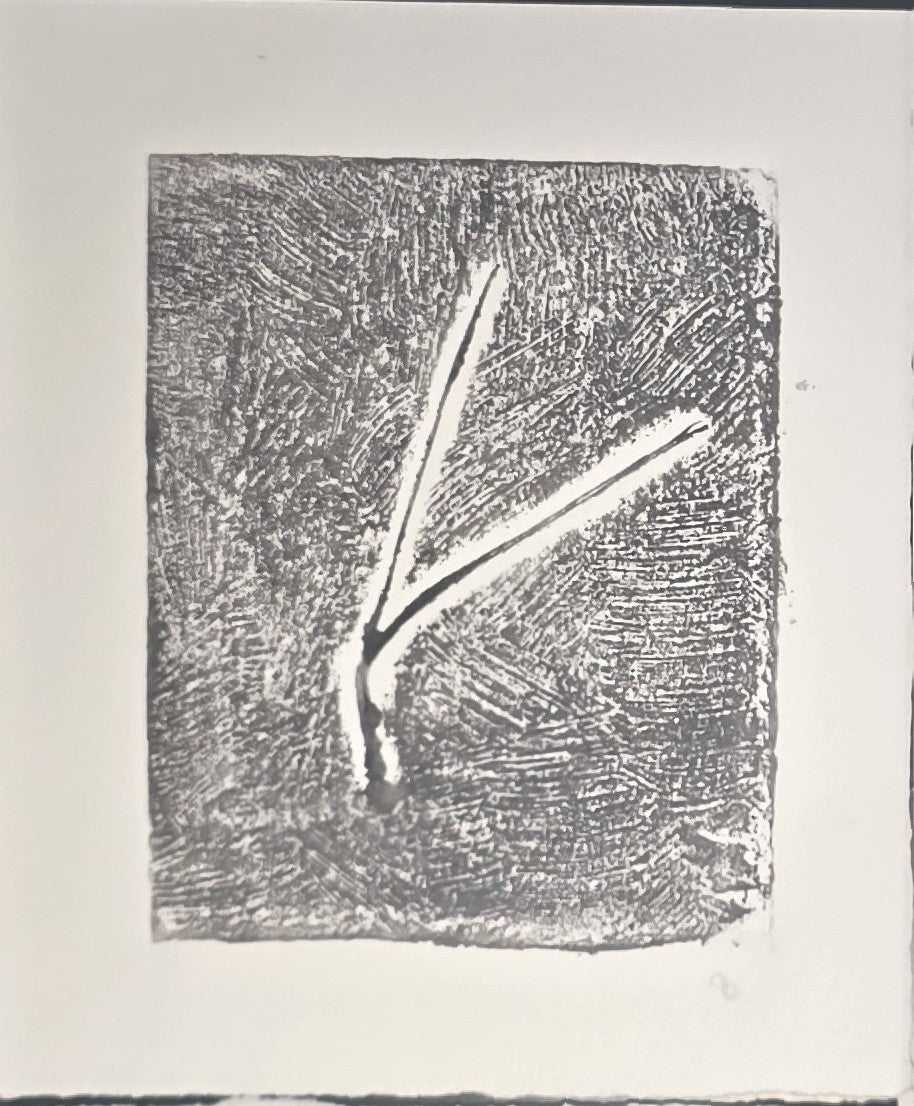 Single Pine Needles Art monoprint by Carrie Bergey in dark grey and white, featuring bold texture and minimalist botanical form.