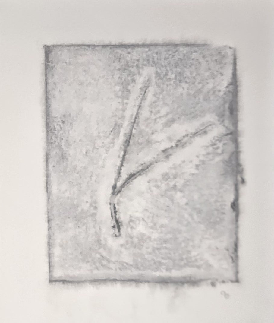 Light-toned Pine Needles Art monoprint by Carrie Bergey with soft textures and abstract pine needle design in subtle grey shades.