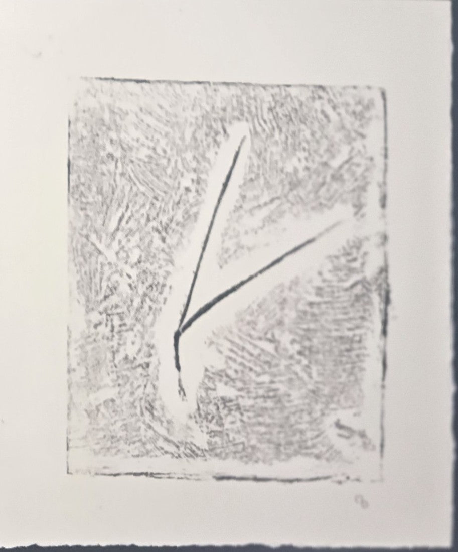 Textured Pine Needles Art monoprint by Carrie Bergey in grey and white, featuring abstract pine needle design with naturalistic detail.