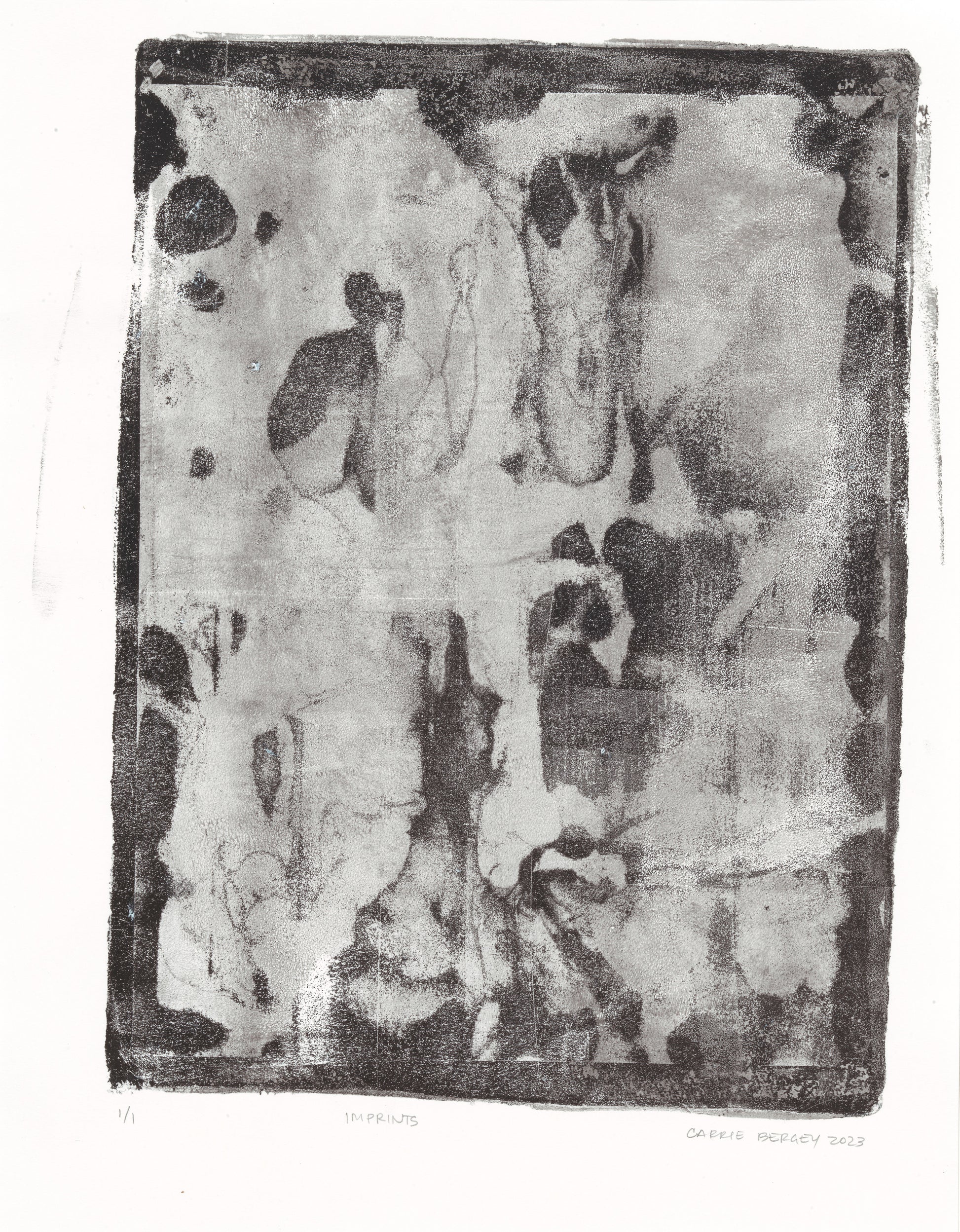 Imprints Original Fine Art Monoprint by Carrie Bergey displays a unique abstract composition with natural forms and monochrome contrasts.