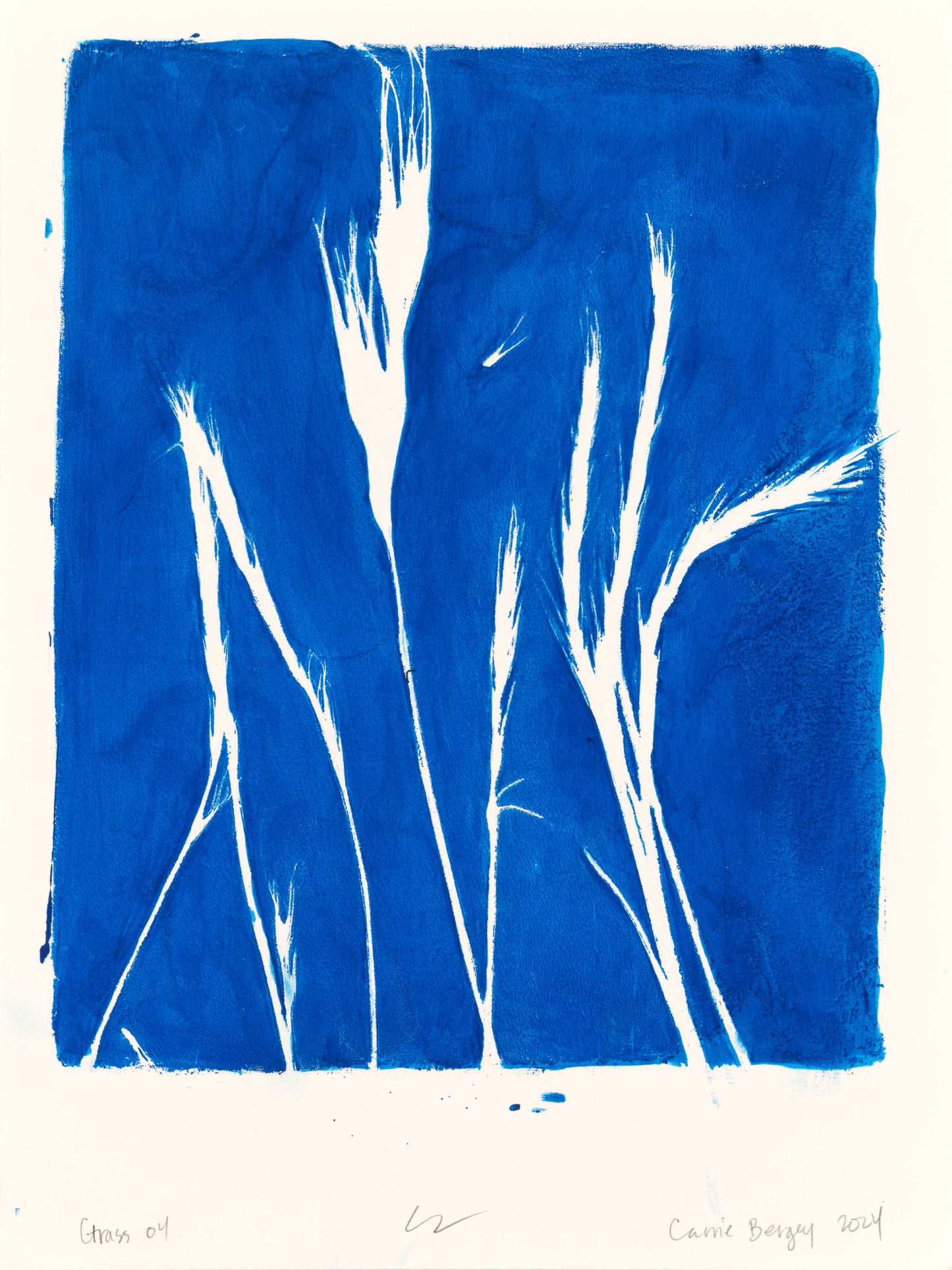 Lobos Grass 04 Original Monoprint Painting