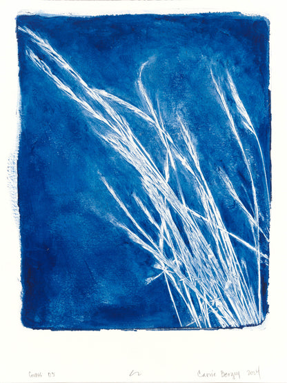Lobos Grass 05 Original Fine Art Monoprint by Carrie Bergey features white coastal grasses on a deep blue acrylic background. Ideal for modern home decor.