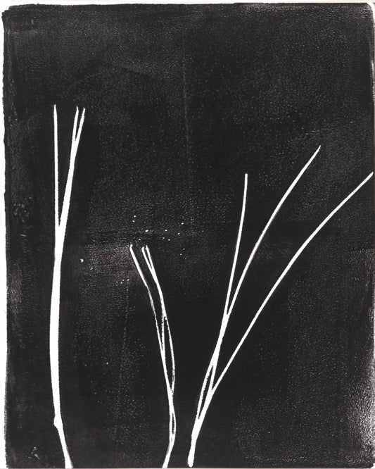 Pine Needles 01 Original Monoprint