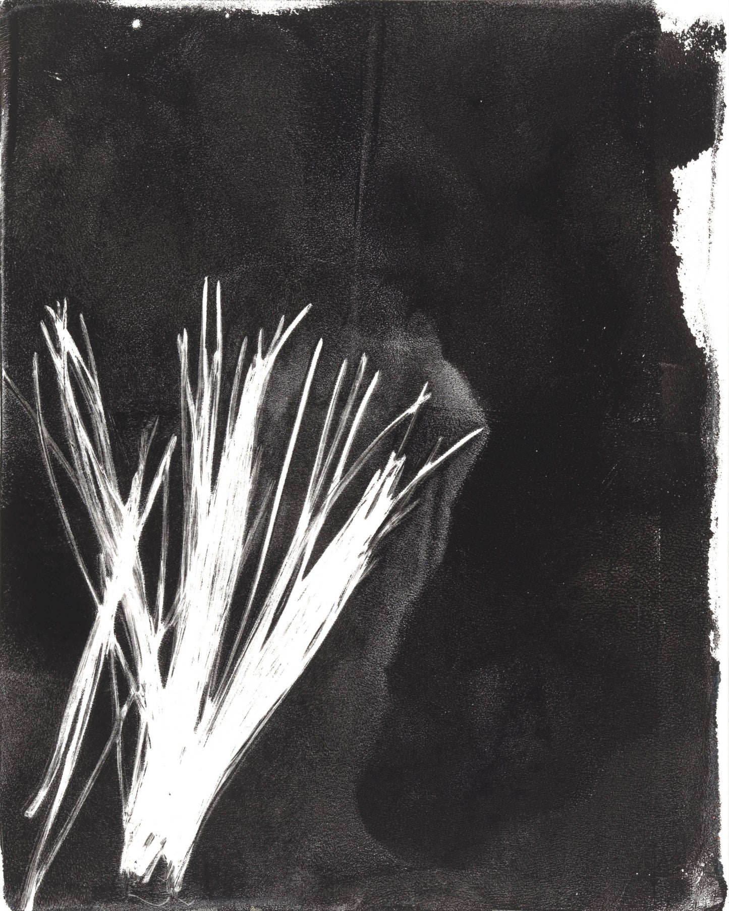 Pine Needles 02 Original Monoprint