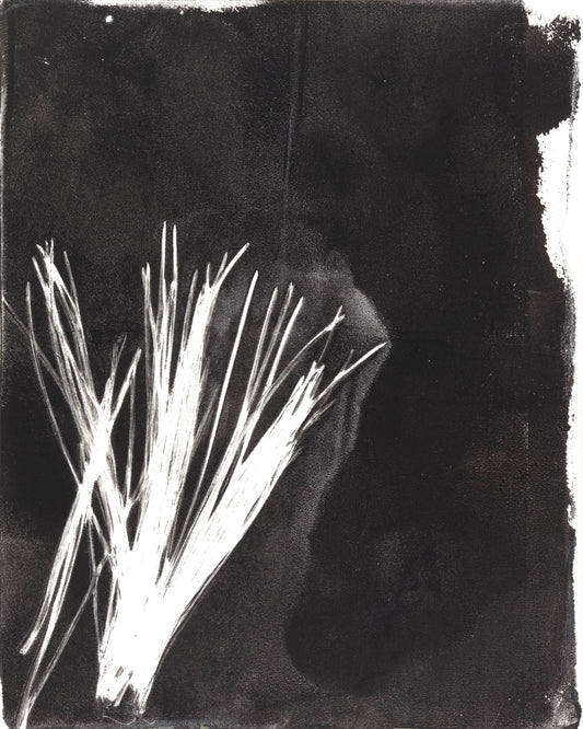 Pine Needles 02 Original Monoprint