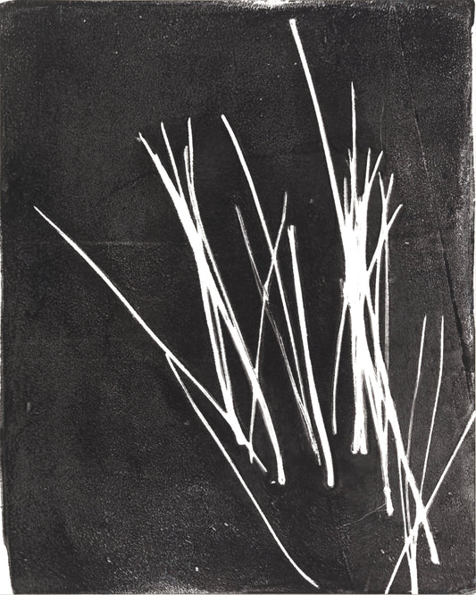 Pine Needles 04 Original Monoprint