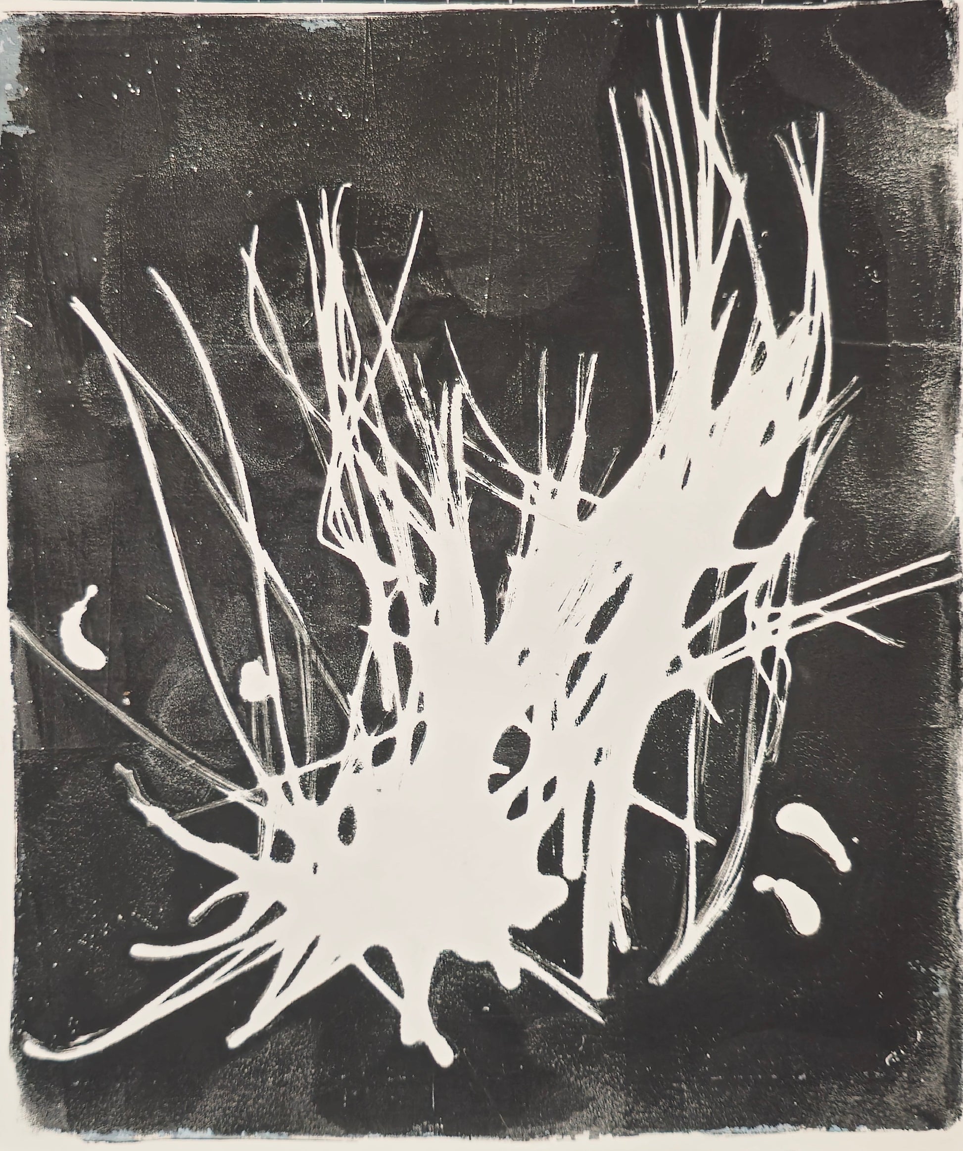 Pine Needles Monoprint - Fine Art | Original Series by Bergey features abstract white pine needle forms on a black background. A unique handcrafted original artwork.