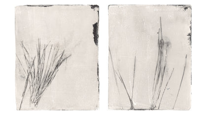 Pine Needles Original Fine Art Monoprint Diptych Collection by Carrie Bergey featuring minimalist pine needle impressions on textured paper.