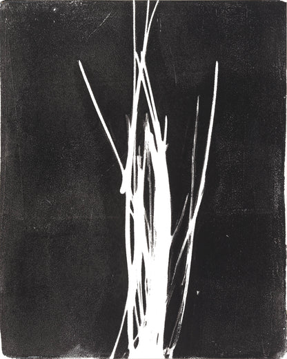 Central burst of white strokes on black in Pine Needles Monoprint by Carrie Bergey, evoking natural forest forms.