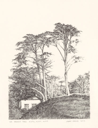 Presidio Trees Original Fine Art Drawings Diptych Collection | Carrie Bergey