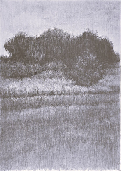 Humble Homestead Original Drawing - art by Carrie Bergey. A monochrome fine art drawing of a rural landscape with trees and fields, evoking calm simplicity.