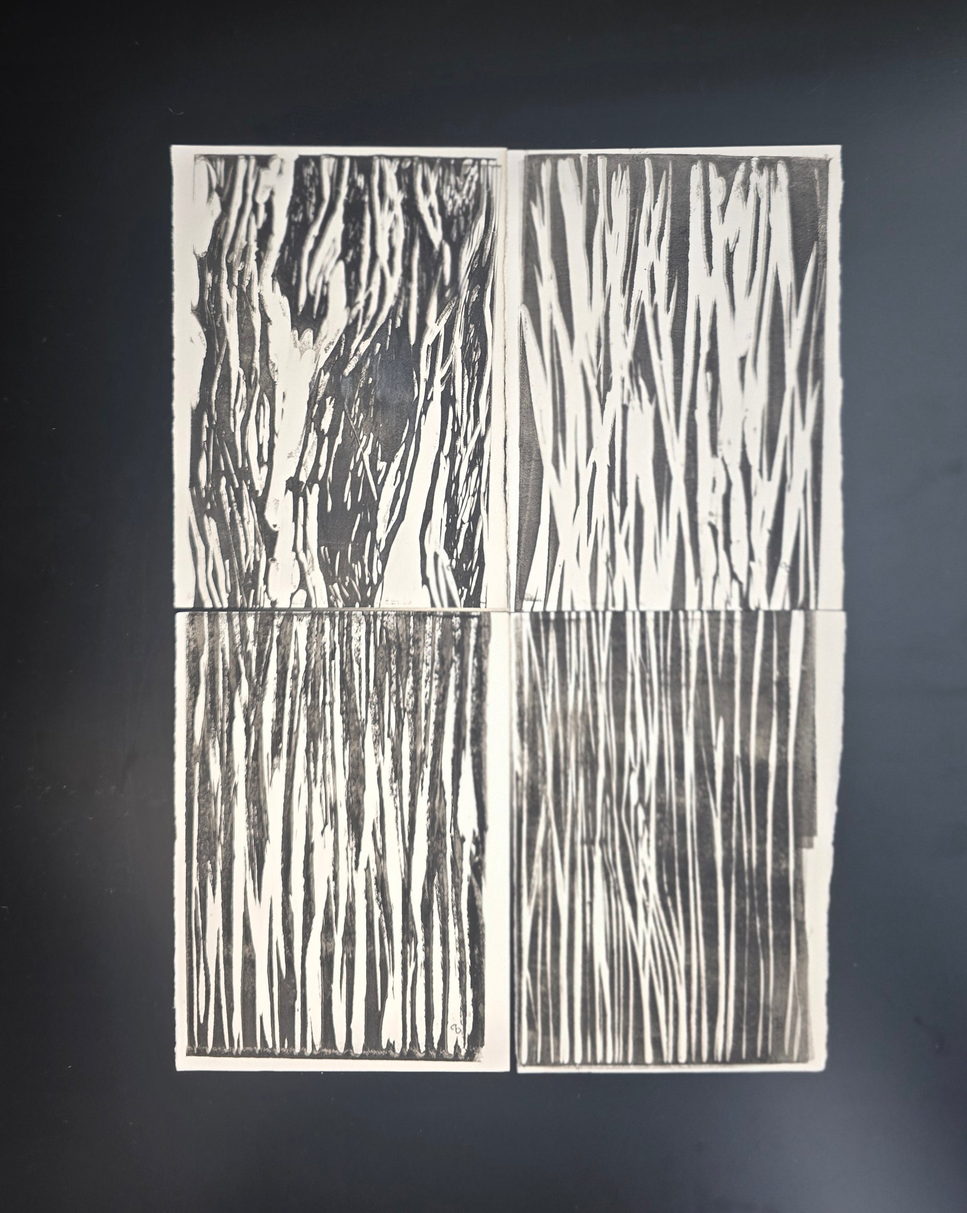 Flat lay of In the Weeds Original Fine Art Monoprint Quadriptych Collection by Carrie Bergey, arranged in a 2x2 grid on a black surface.