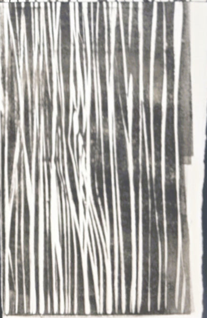 Close-up of bottom right panel from In the Weeds Monoprint Quadriptych by Carrie Bergey, showing fine vertical white lines over a dark textured background.
