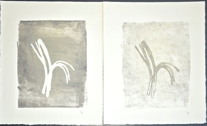 Full view of Pine Needles - Becoming 17_01-02 Diptych by Carrie Bergey, two abstract collagraph monoprints in complementary grey and white tones.