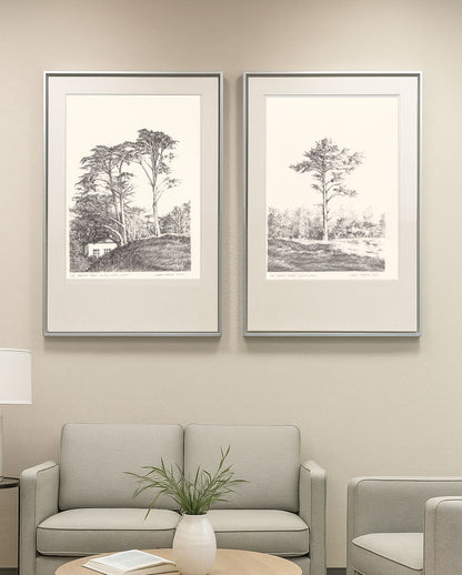 Original Fine Art Drawings - Presidio Trees diptych framed and displayed above a modern sofa in a neutral-toned living room setting.