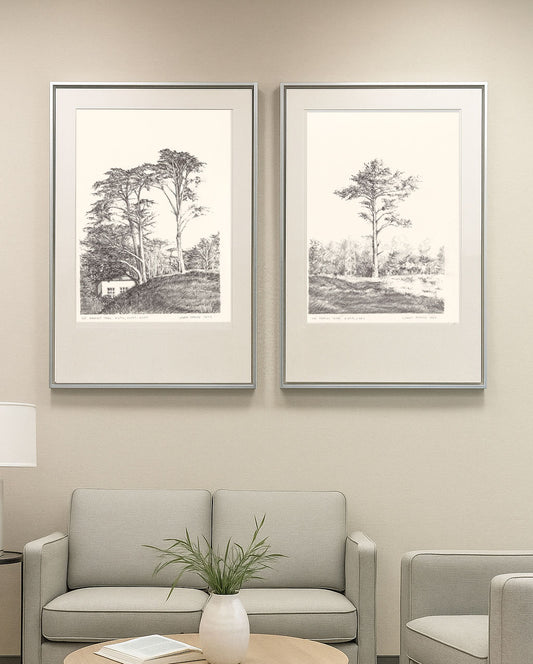 Original Fine Art Drawings - Presidio Trees diptych framed and displayed above a modern sofa in a neutral-toned living room setting.