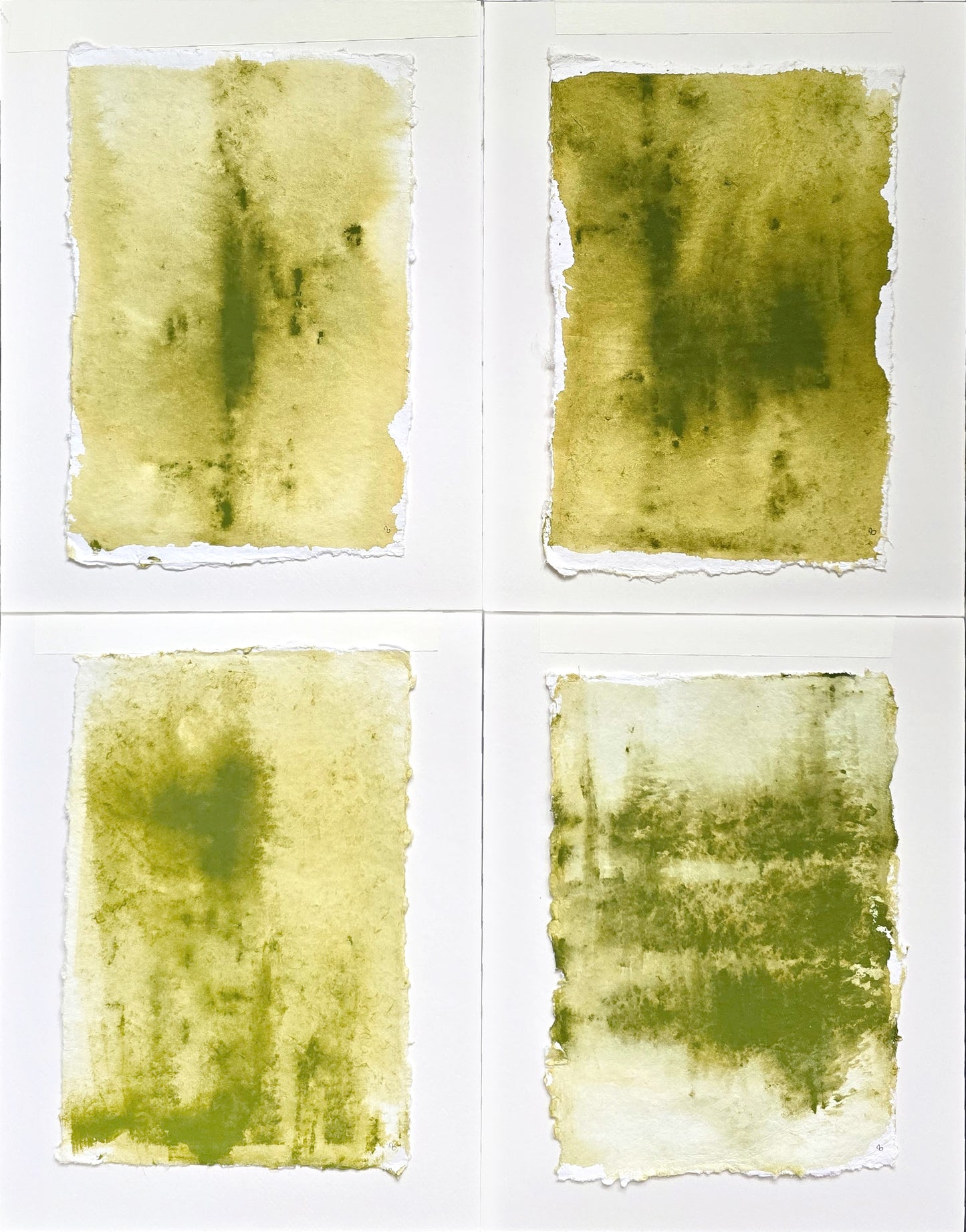 Unframed Verdant Memory Quadriptych Collection by Carrie Bergey showcasing four abstract green watercolor panels on textured paper.